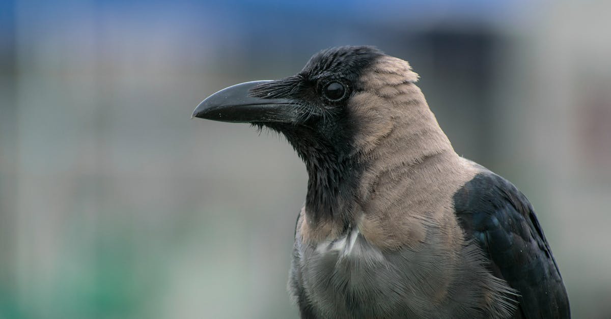 Anti-Ageing Treatments: What You Need to Know