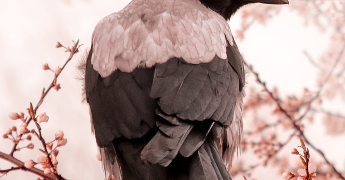 Benefits of Regular Nail Maintenance in Beauty Salons