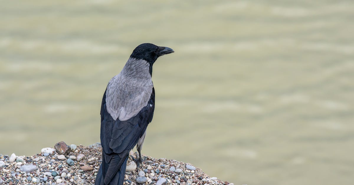 Building Trust: How Staff Can Enhance Client Experience