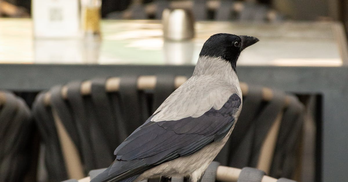 Customised Facial Masks: Tailoring to Different Skin Types
