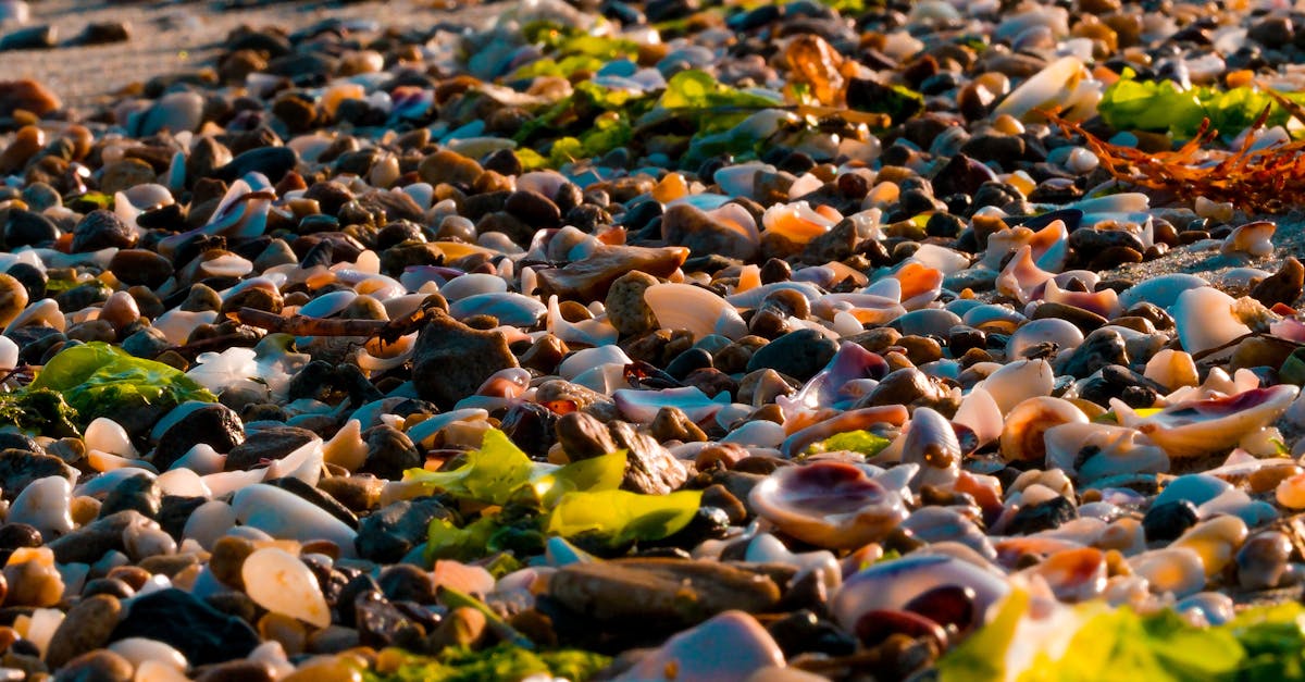 Customised Hair Colour Solutions for Every Skin Tone