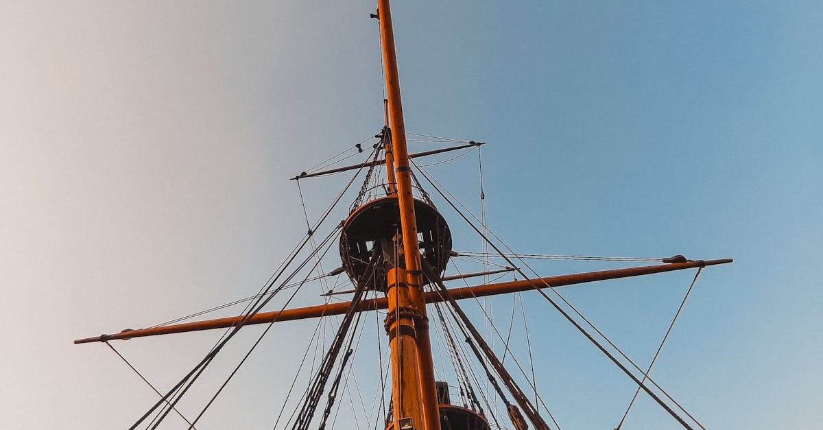 Digital Loyalty Programs: Staying Competitive in the Beauty Industry