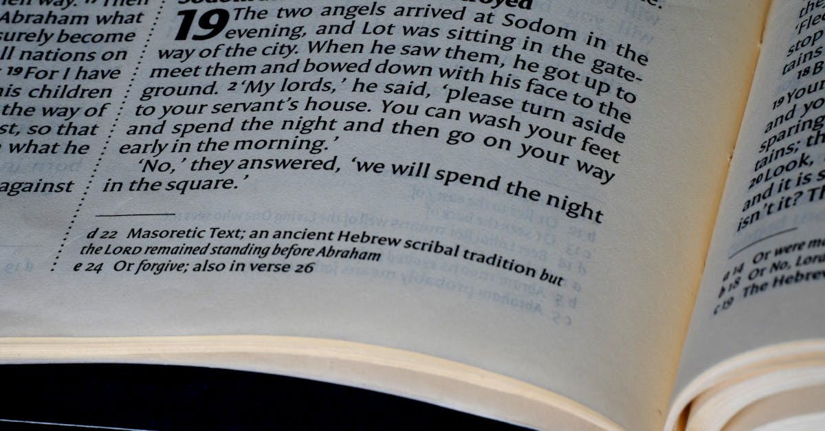 Highlights vs. Low Lights: Which is Right for Your Style?