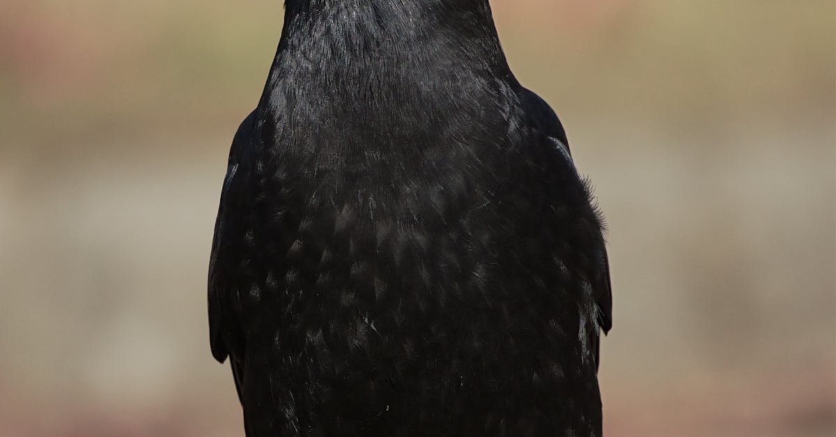 How Crows Nest Salons Are Adapting Makeup for Diverse Skin Tones