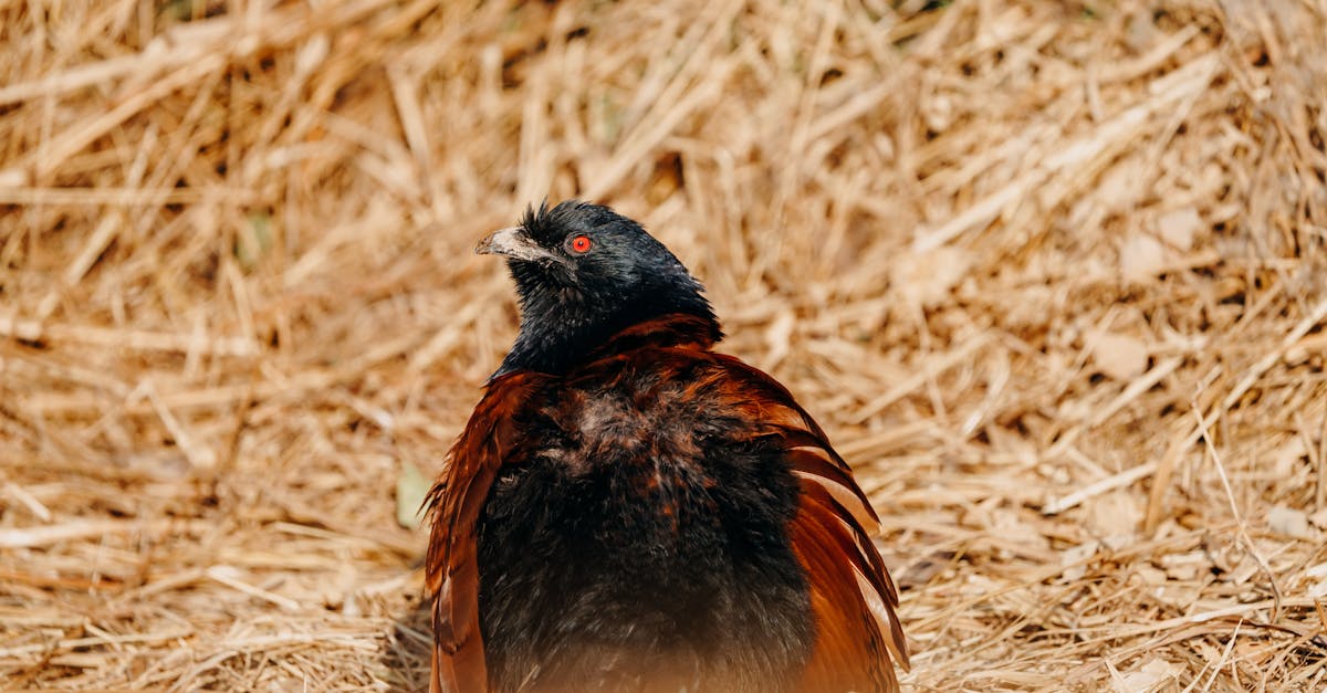 How to Maintain Your Hair Colour Between Salon Visits