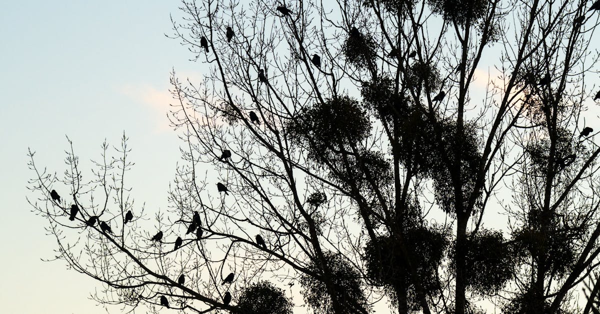 The Benefits of Embracing At-Home Salon Services