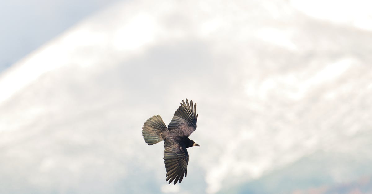 The Impact of Customer Reviews on Salon Improvement Strategies