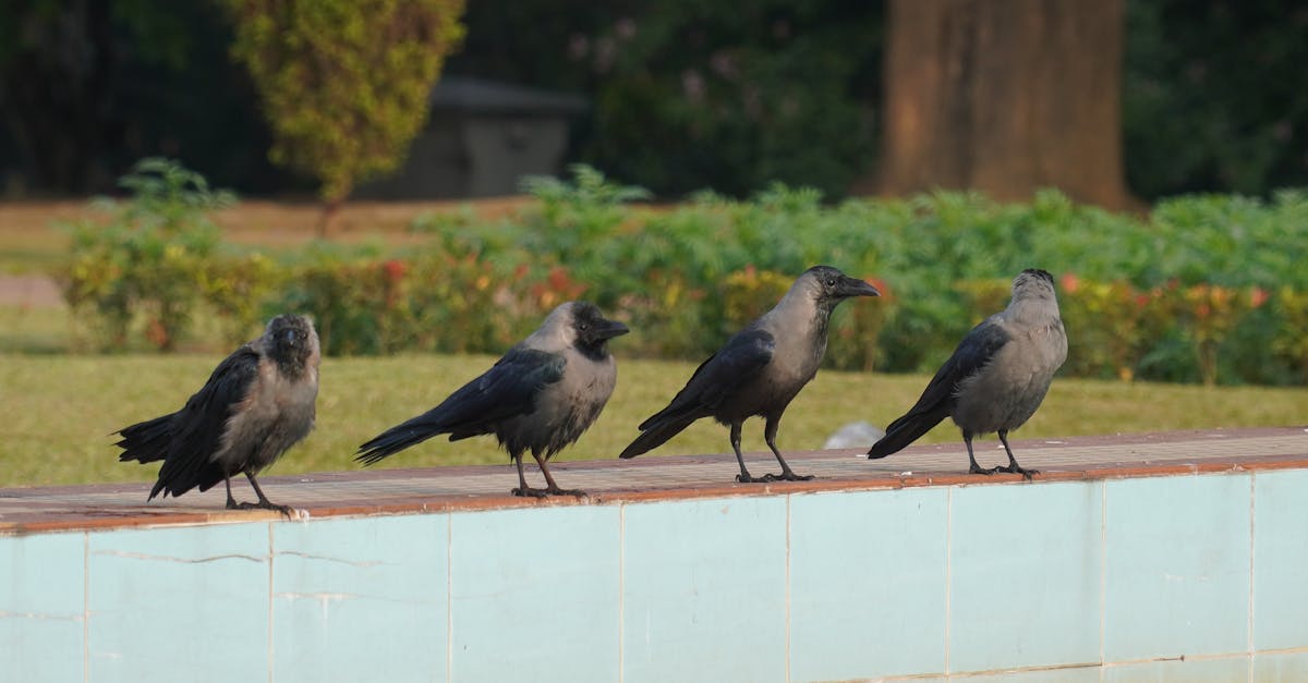 Understanding the Importance of Customer Feedback in Crows Nest Salons